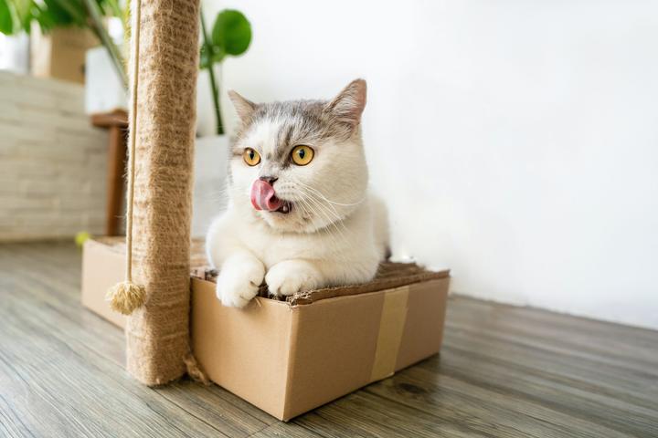 tran mau tri tam o2BEIJNN25U unsplash scaled