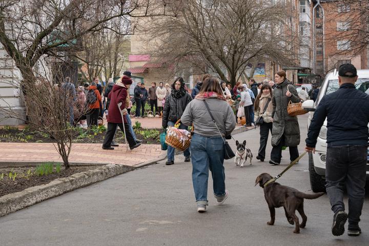 Зустріч чотирилапих друзів біля собору