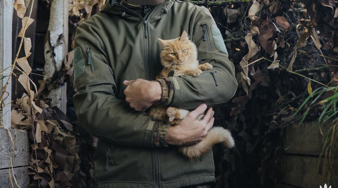 Кіт на руках у бійця