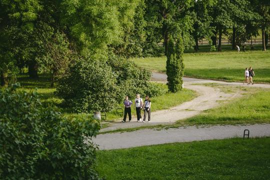 park zverkhu sumy shevchenka