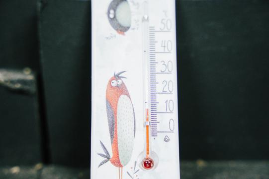 photo 2023 11 27 10 57 38