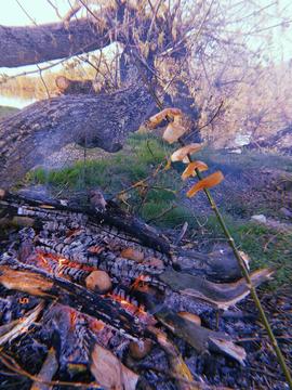 photo 3 2024 04 26 17 56 13