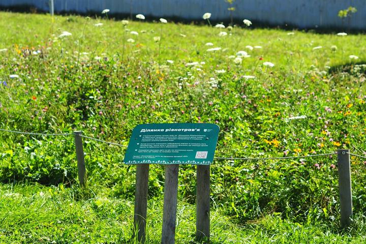 OLYMPUS DIGITAL CAMERA OLYMPUS DIGITAL CAMERA