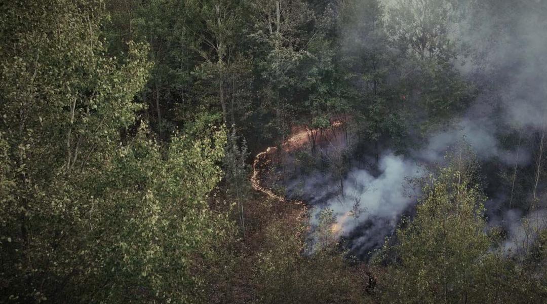 Пожежа в лісі в Охтирському районі