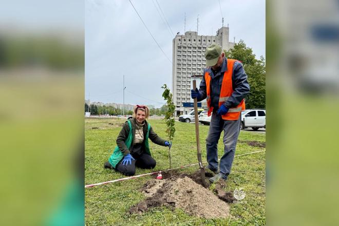 Дизайн без назви (2)