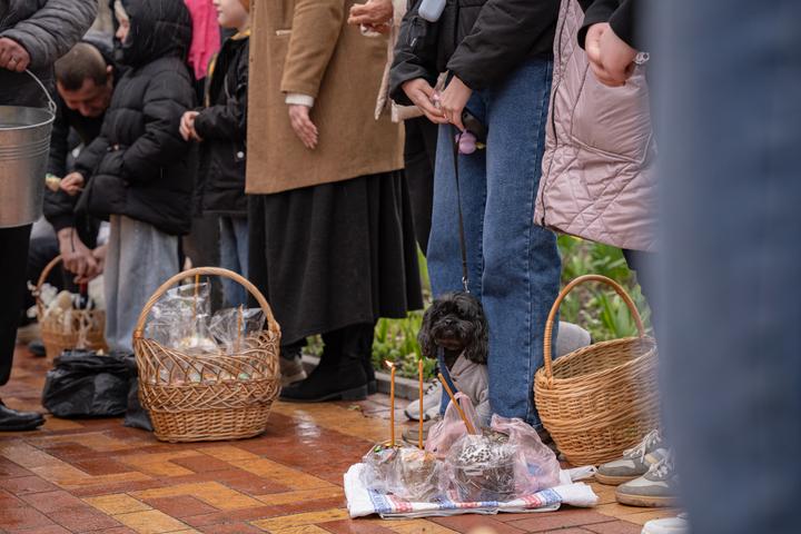 Песик боїться води і ховається у ногах
