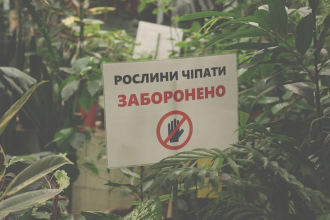Носить футболку «Фу, люди» й повертає крадені рослини. Історія доглядачки зимового саду в Сумах