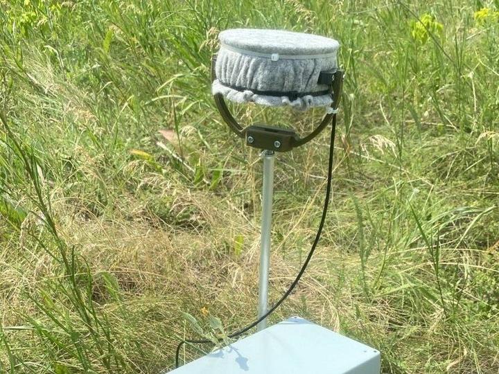 akustychnyi sensor ZVOOK NW0