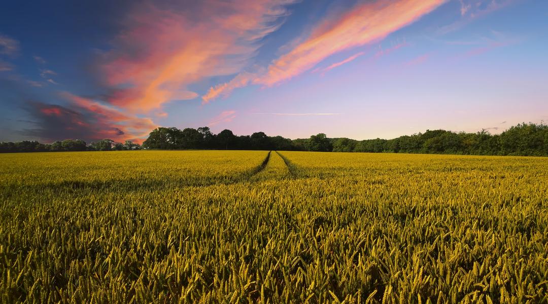 countryside 2326787 1920