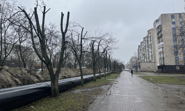 obpylyani dereva v sumakh na kharkivsʹkiy Обрубані дерева в Сумах на Харківській
