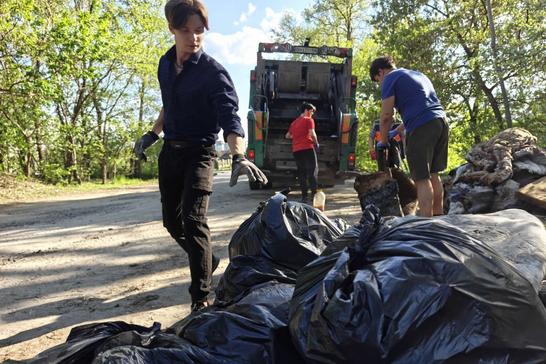 толока від червного хреста