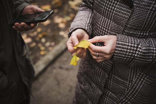 Листки дерева часів динозаврів