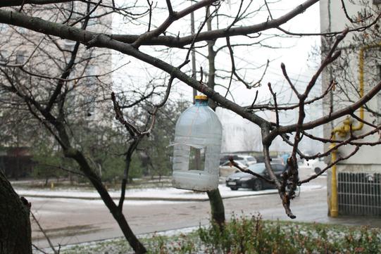 годівчника з пляшки