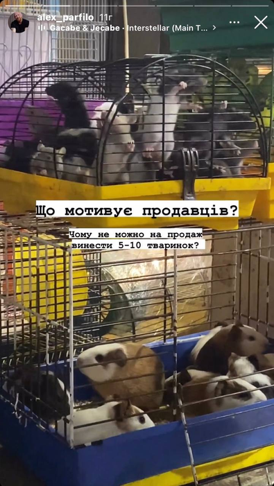 zobrazhennia 2023 04 24 141319558