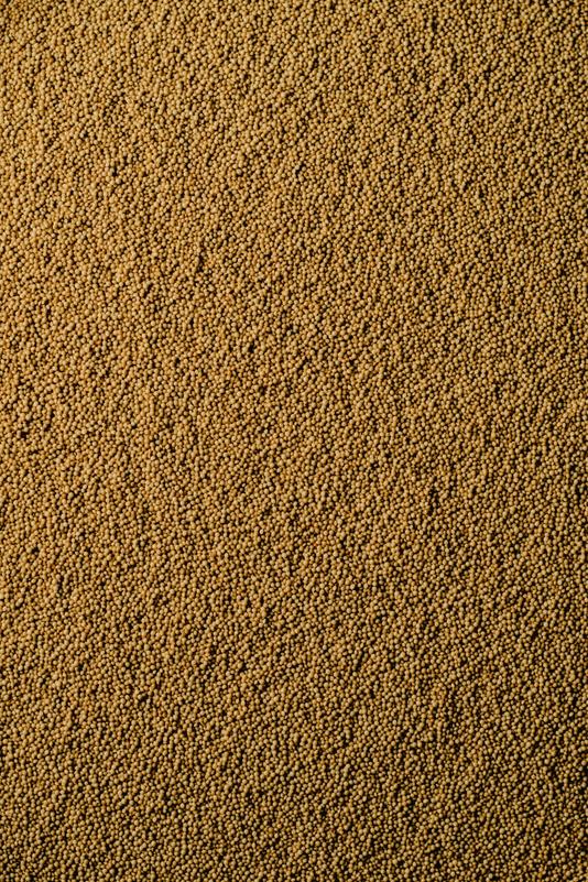 pexels eva bronzini 5988322 1