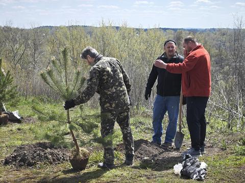 висадка дерев в Сумах