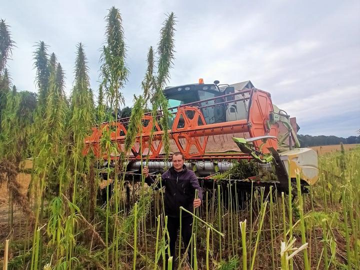 hemp-8 hemp 8
