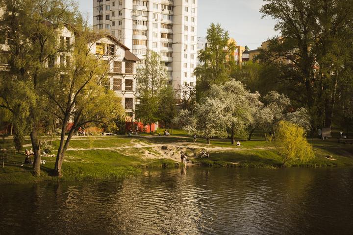 Sumy u travni nepodalik zdybanky
