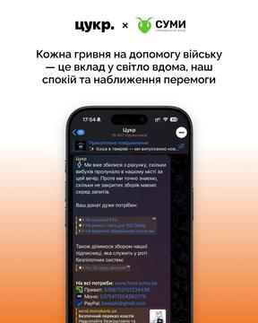 zvit 8