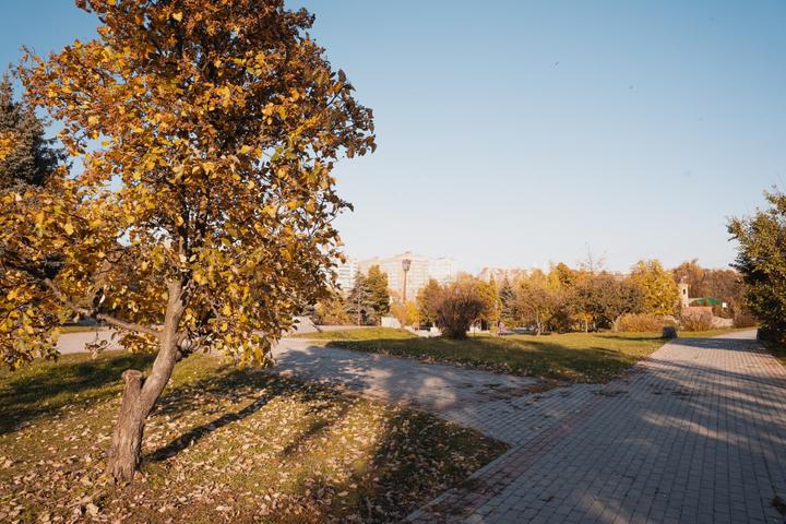photo 2022 10 19 11 08 28