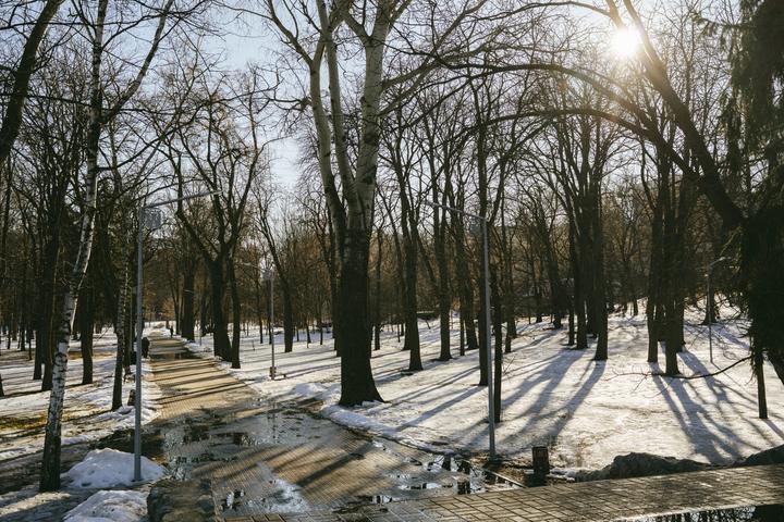 Рання весна в парку імені Кожедуба