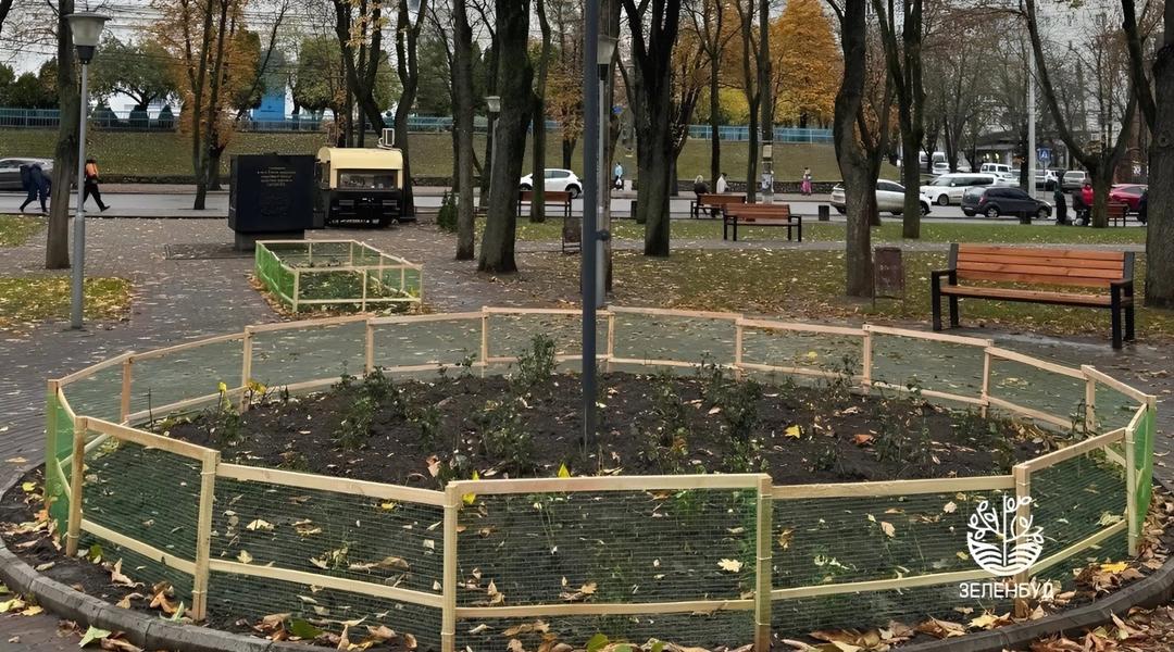 Клумба з трояндами в Сумах