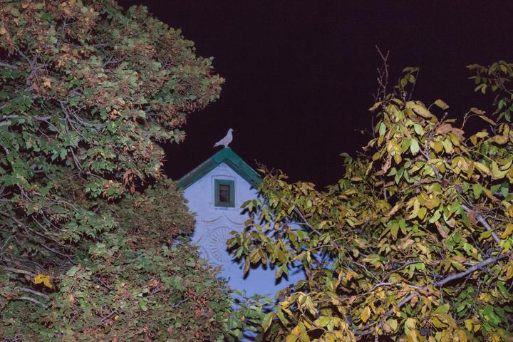 photo 2025 07 23 15 22 15 2