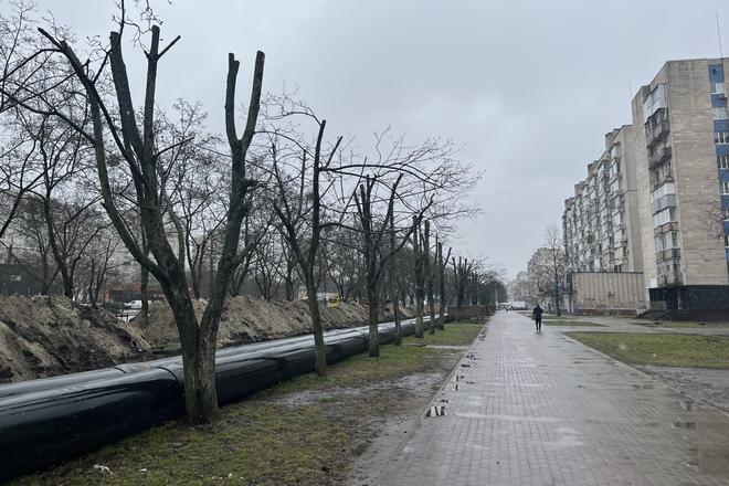 Обрубані дерева в Сумах на Харківській