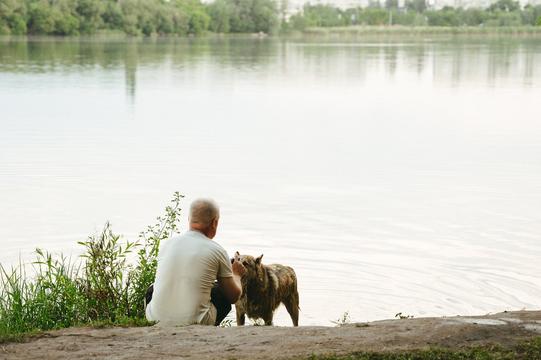 cholovik mokryi sobaka sumy