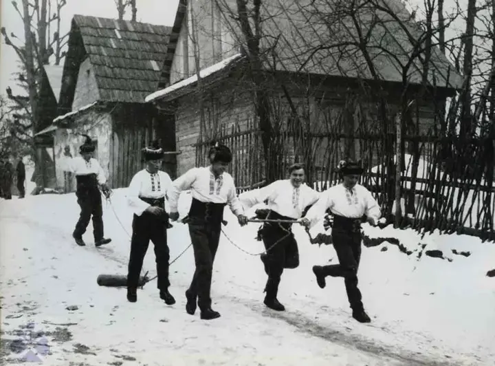 Cхожа традиція є і в Словакії. Неодружені парубки «тягають колодку». Фото до 1940 року Освіторія