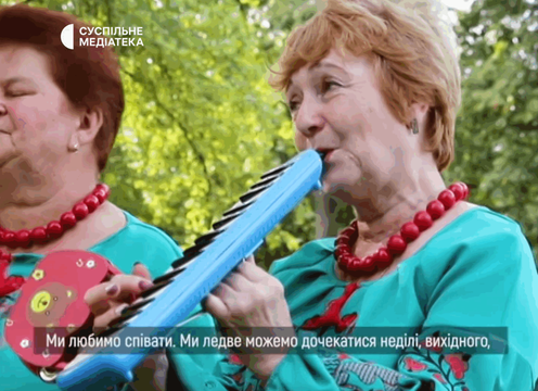 ansamblʹ vidrada v iskryskivshchyni
