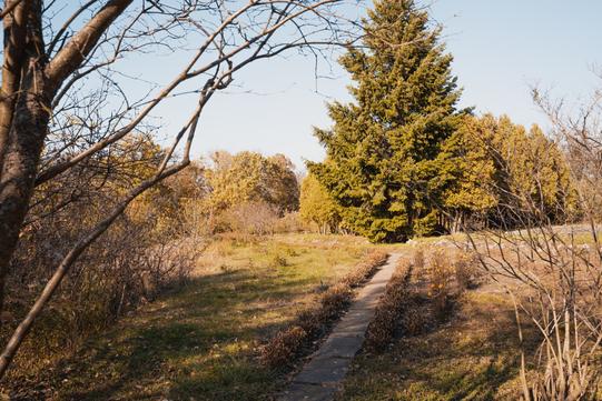 photo 2022 10 19 10 52 38 2