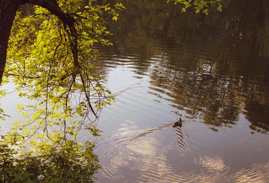 photo 2024 05 16 17 46 49 6