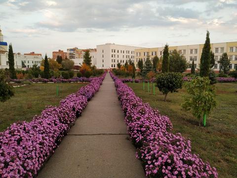 Іванна Чукур scaled Іванна Чукур scaled