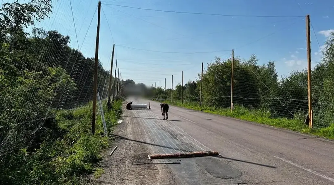 антидронові сітки в Сумській області