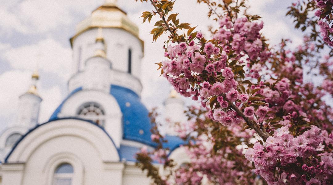 Коли в Сумах потеплішає