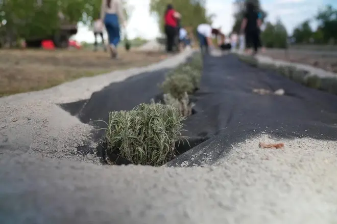 Алея надії в Лебедині на Сумщині