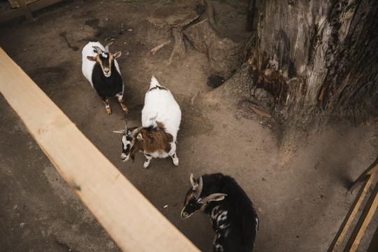 photo 2025 05 23 17 32 41