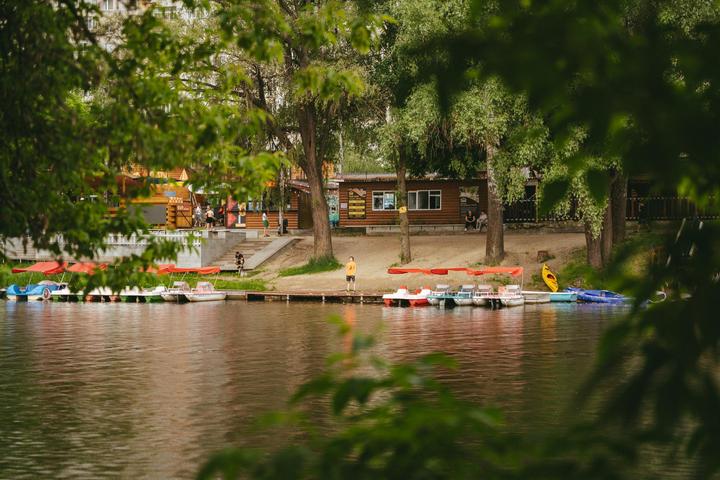 baza prokat kriz verbu sumy