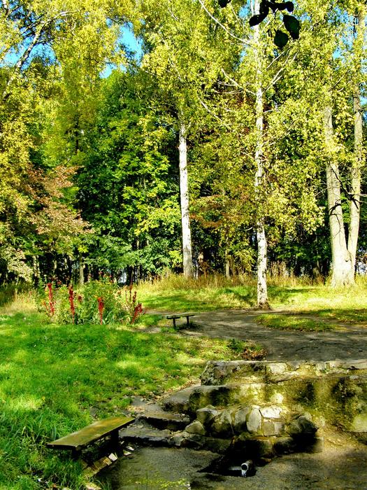 Myk Sadovyi34