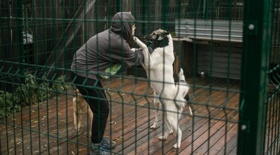 Волонтерка із собакою
