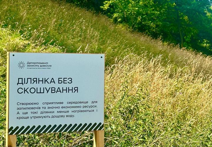 Фото Олександр Возний Ділянка у Києві Фото Олександр Возний Ділянка у Києві