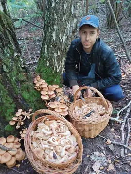 openky sumska oblast