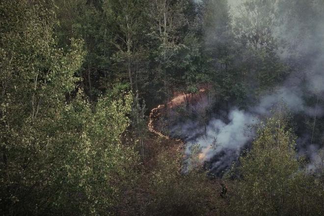 Пожежа в лісі в Охтирському районі
