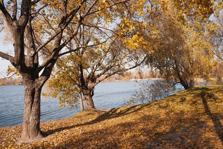 photo 2022 10 19 10 53 24 2 1