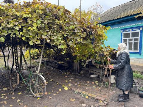 подвір'я Ніни Бражник на Сумщині